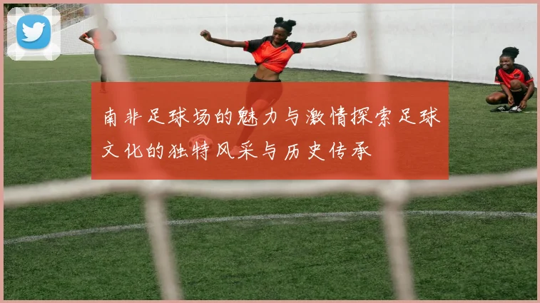 南非足球场的魅力与激情探索足球文化的独特风采与历史传承
