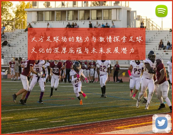 大方足球场的魅力与激情探索足球文化的深厚底蕴与未来发展潜力