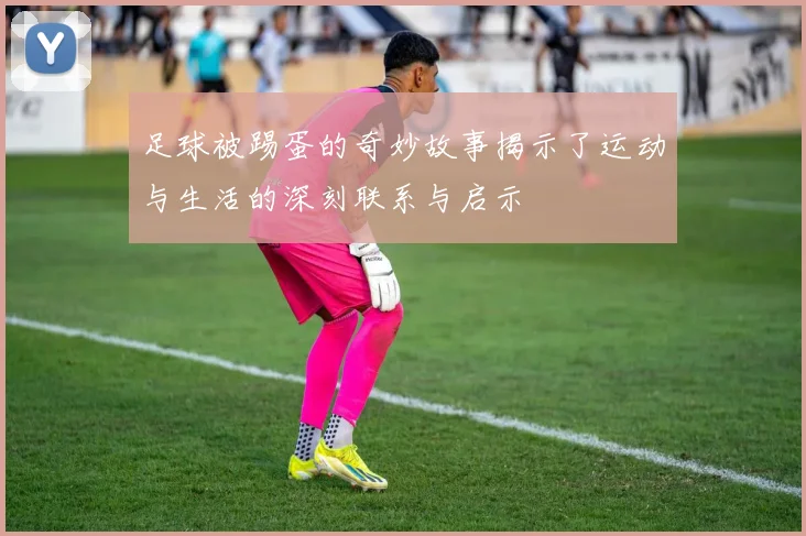足球被踢蛋的奇妙故事揭示了运动与生活的深刻联系与启示