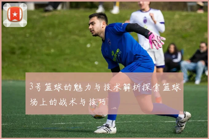 3号篮球的魅力与技术解析探索篮球场上的战术与技巧