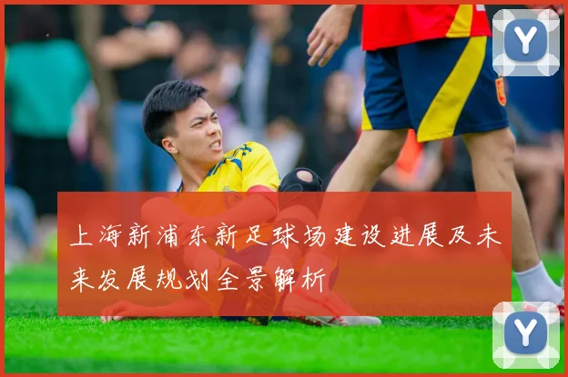 上海新浦东新足球场建设进展及未来发展规划全景解析