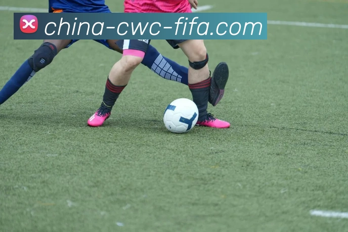 世界杯下注发展历程